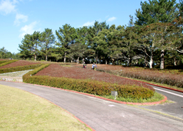 Fukiagehama Seaside Park