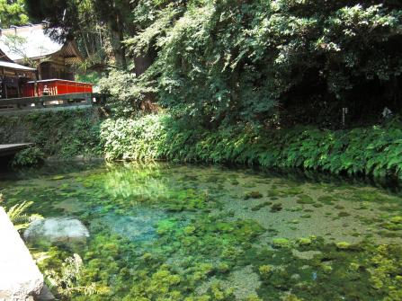 被選為日本名水百選之一的白川水源