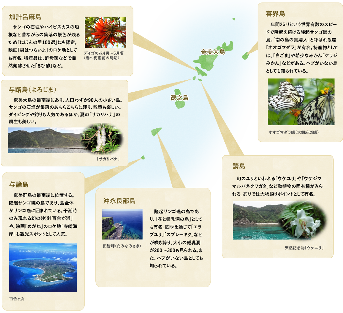 奄美大島、徳之島の地図