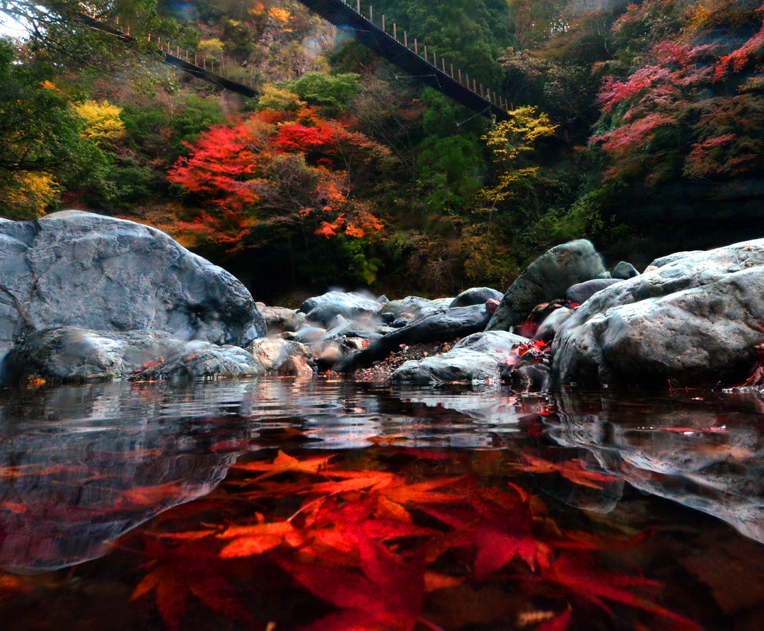 自然との調和が美しい 紅葉スポット7選をご紹介 九州への旅行や観光情報は九州旅ネット