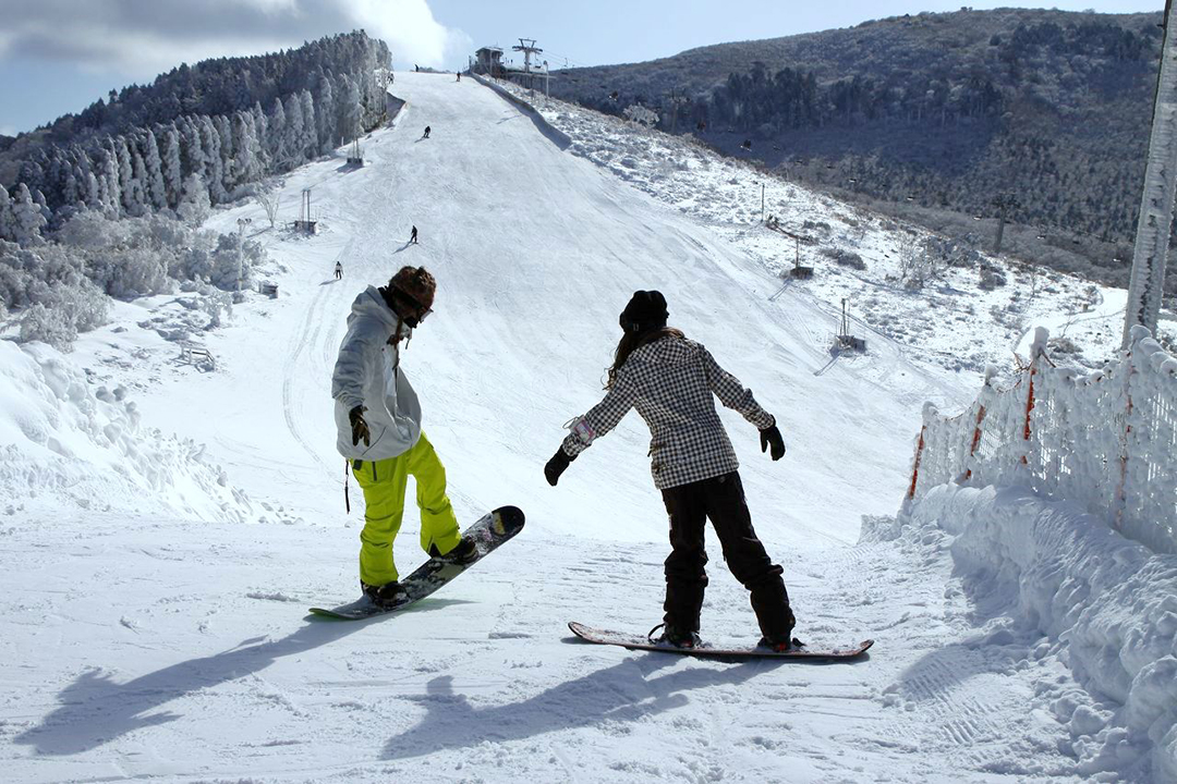 2024年最新】九州唯一のスキー場（くじゅう森林公園）＆野外