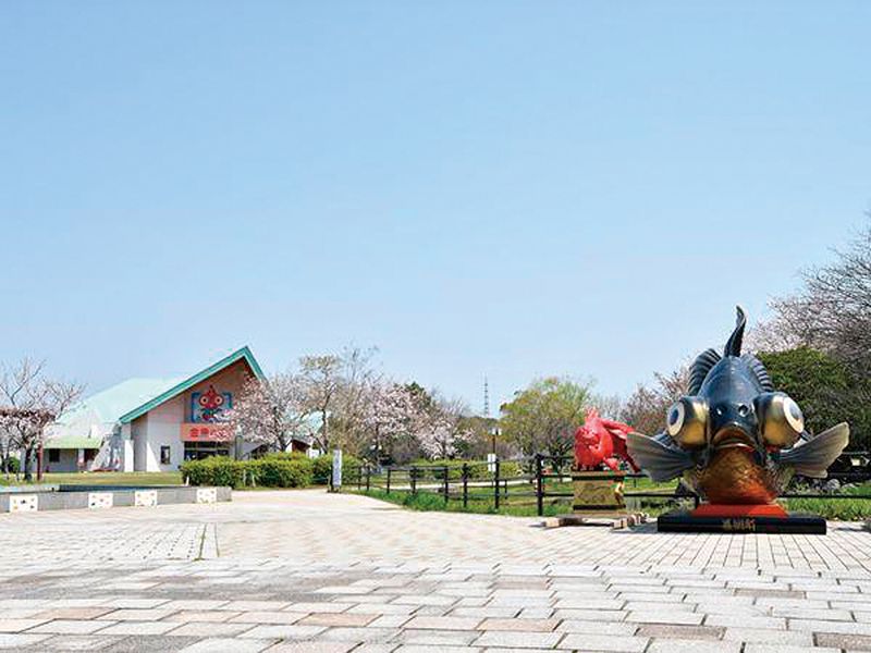 画像：金魚と鯉の郷広場