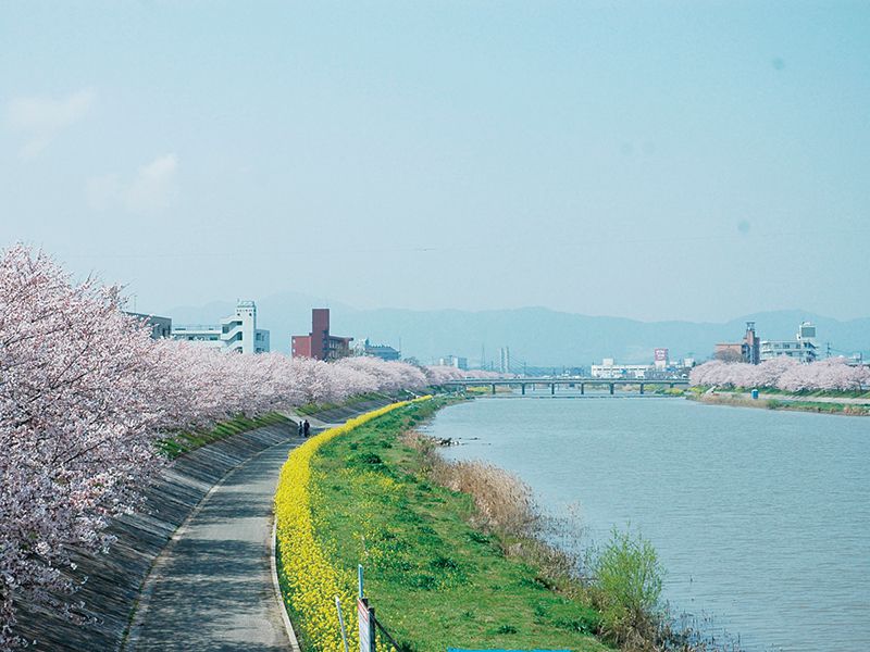 image：Imagawa Cycling Road