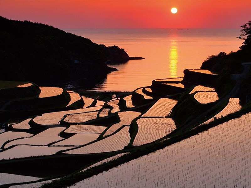 image：Terraced Rice Fields of Hamanoura