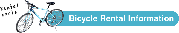 Bicycle Rental Information