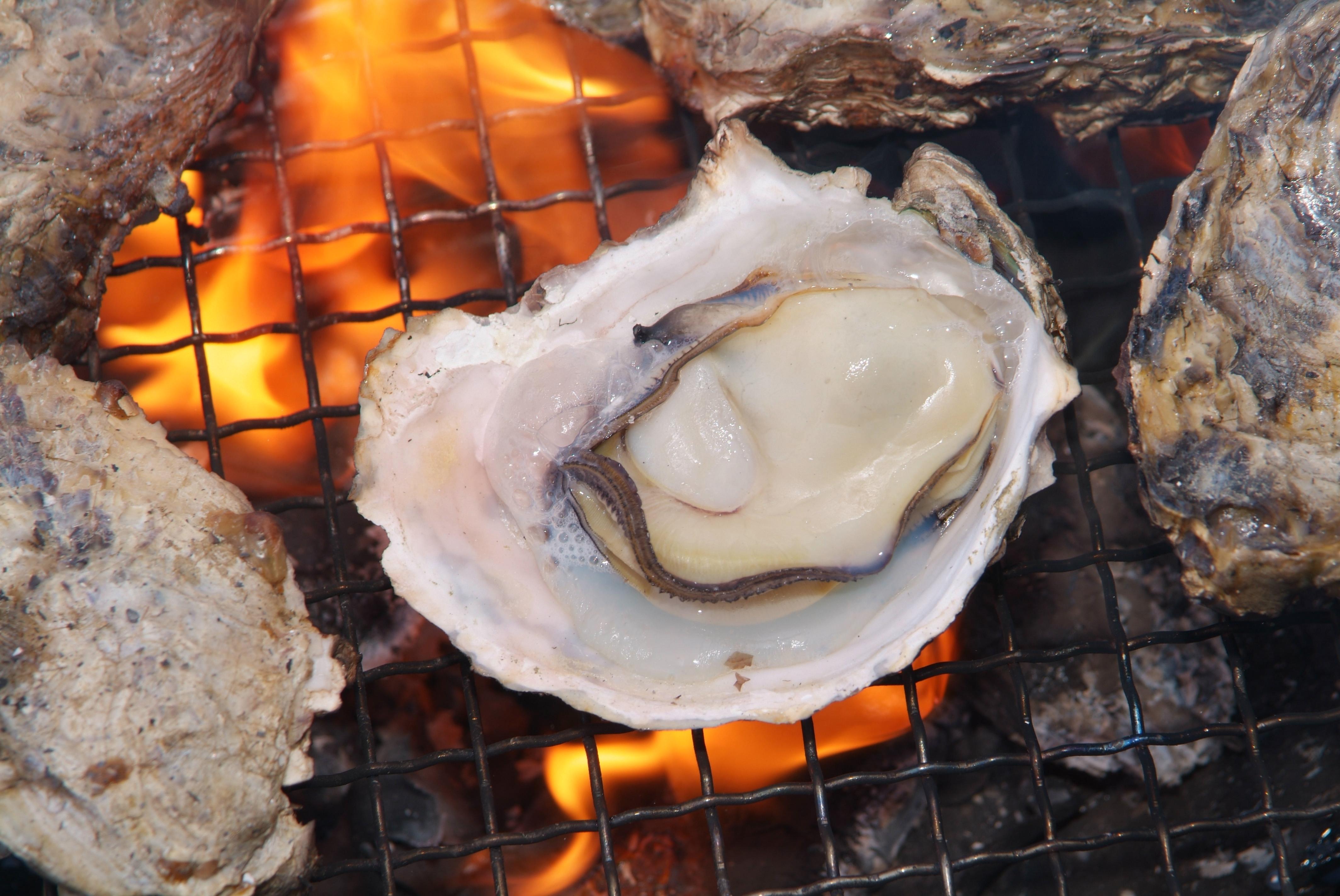 牡蠣燒海道