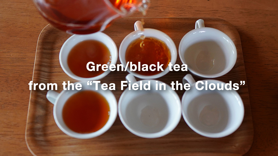 Green/black tea from the “Tea Field in the Clouds”