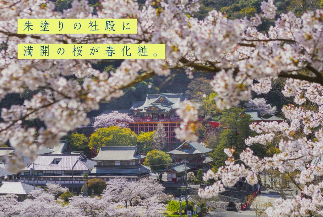 画像：朱塗りの社殿に満開の桜が春化粧。
