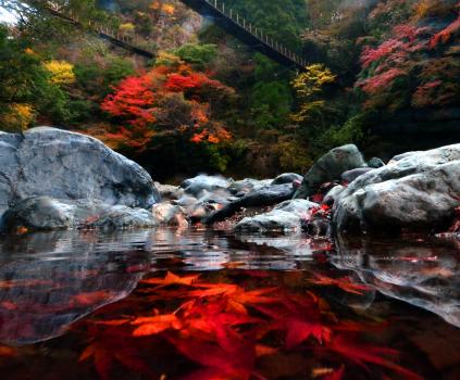 自然との調和が美しい　紅葉スポット7選をご紹介！