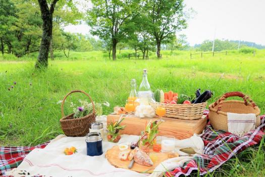 【毎月第四土曜日に開催】阿蘇・南小国の新鮮食材と絶景を楽しむ最高の朝ごはん。黒川温泉 朝ピクニック2019の予約受付が開始されました！