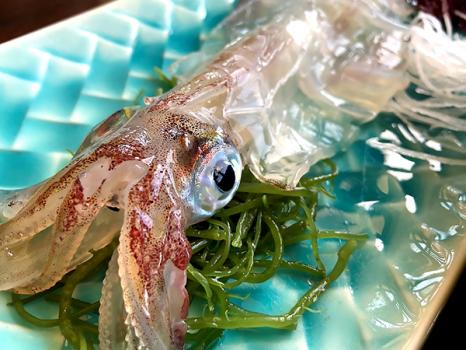 【エリアガイド】海鮮グルメなら九州へ！新鮮な魚介類の素材の味を楽しもう