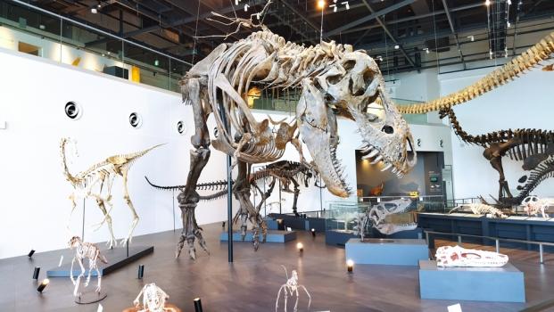 2021年10月29日オープン！長崎市恐竜博物館に一足先に行ってみた！