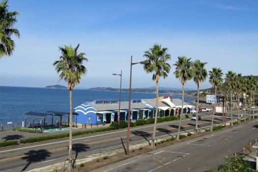 海沿いにある「道の駅 阿久根」で鹿児島のいいとこどり！