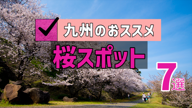 【2023年】九州の桜の花見スポット紹介