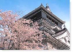 小倉城 勝山公園の桜 九州への旅行や観光情報は九州旅ネット
