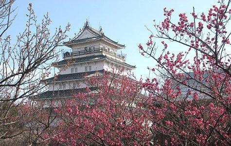 島原城の梅園 九州への旅行や観光情報は九州旅ネット
